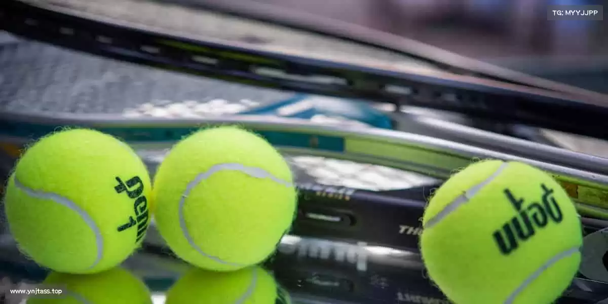 行业领先的理由